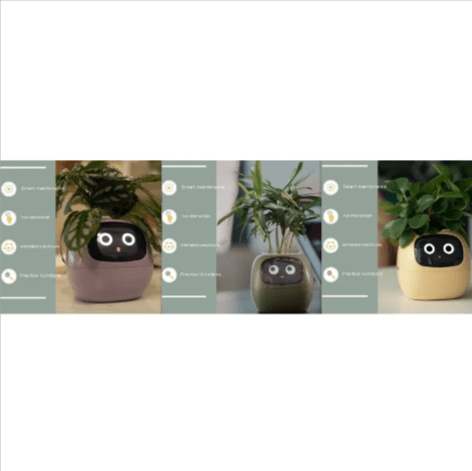 Smart AI PlanterNIMBRIX