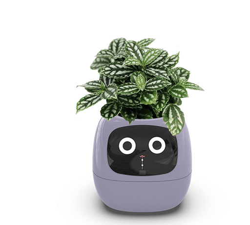 Smart AI PlanterNIMBRIX